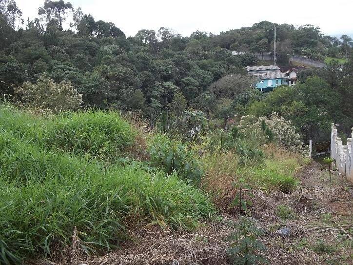 Terreno, 1400 m² - Foto 1