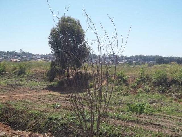 #1001 - Área para Incorporação para Venda em Guarulhos - SP - 2